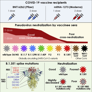 Vaccine won't protect you from all the COVID variants