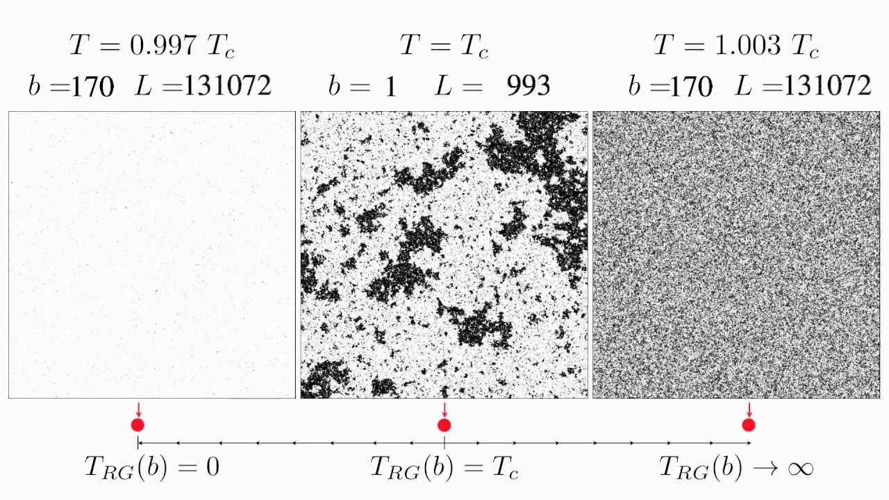 Beyond mean field theory: the renormalization group idea