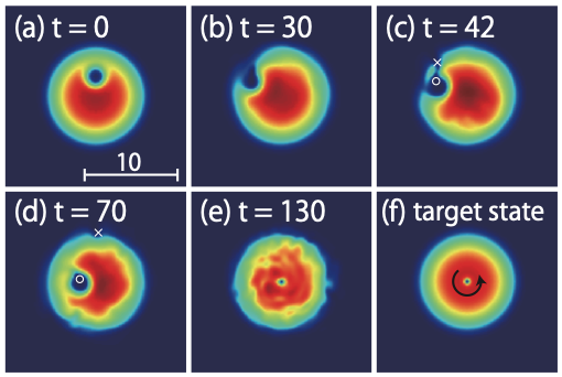 Creation and manipulation of quantized vortices in Bose-Einstein condensates using reinforcement learning